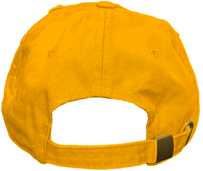 Yellow Ochre 6s Dad Hat - Jordan 6 Ochre 6s Hats - Red Heart Baws