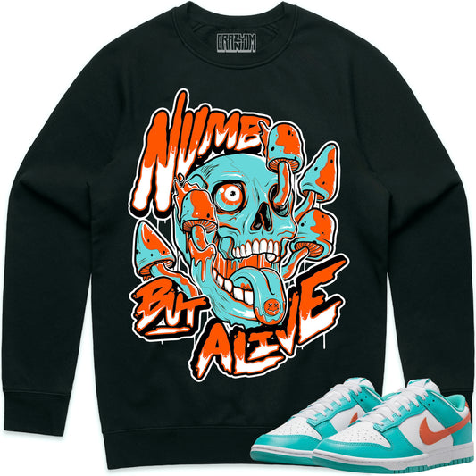 Miami Dolphin Dunks Sweater to Match - Numb but Alive