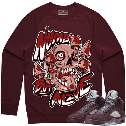 Jordan 5 Burgundy 5s Sweater to Match - Numb Alive