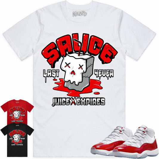 Cherry 11s Shirt - Jordan Retro 11 Cherry Shirts - Red Sauce