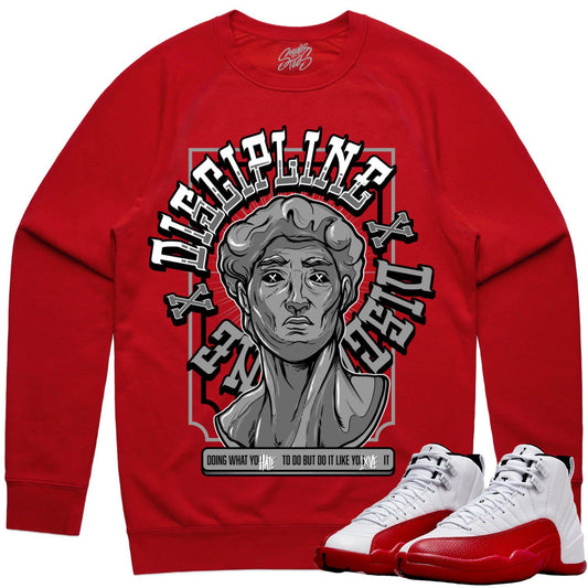 Cherry 12s Sweater to Match - Jordan 12 Sweatshirt - Discipline