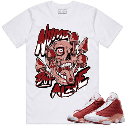 Dune Red 13s Shirts - Jordan 13 Dune Red Sneaker Tees - Numb