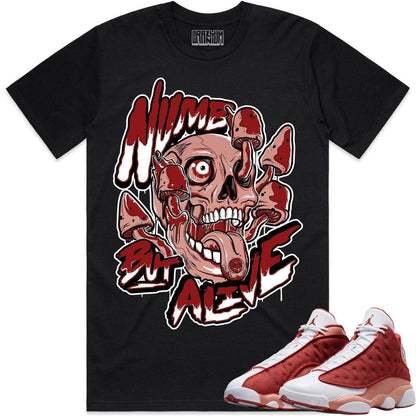 Dune Red 13s Shirts - Jordan 13 Dune Red Sneaker Tees - Numb