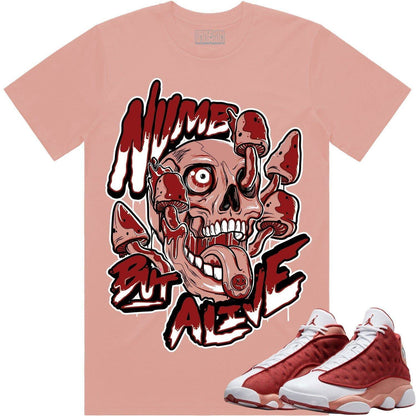 Dune Red 13s Shirts - Jordan 13 Dune Red Sneaker Tees - Numb