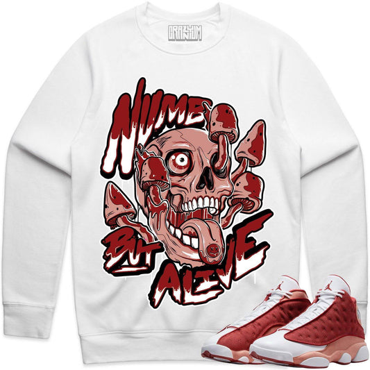 Dune Red 13s Sweater - Jordan 13 Dune Red Crewnecks - Numb Alive