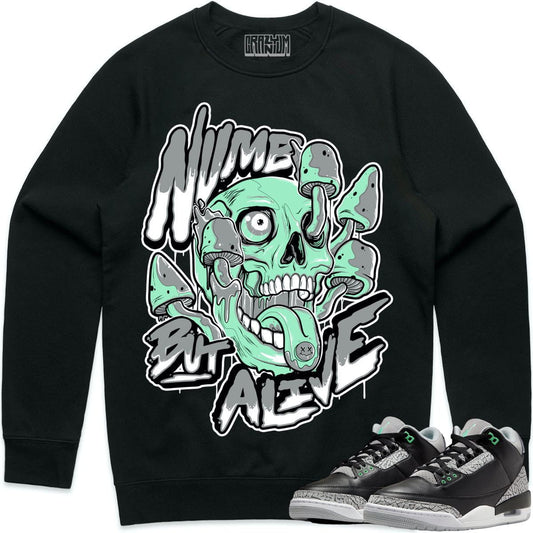 Green Glow 3s Sweater - Jordan 3 Green Glow Crewnecks - Numb Alive