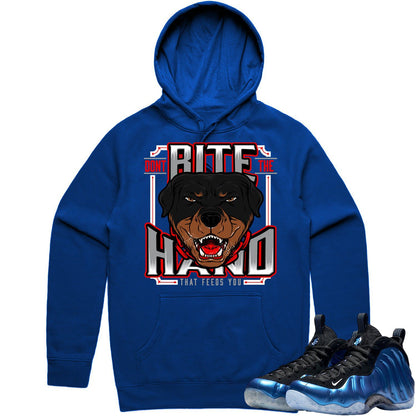 International Blue Foamposites Hoodies to Match - Dont Bite