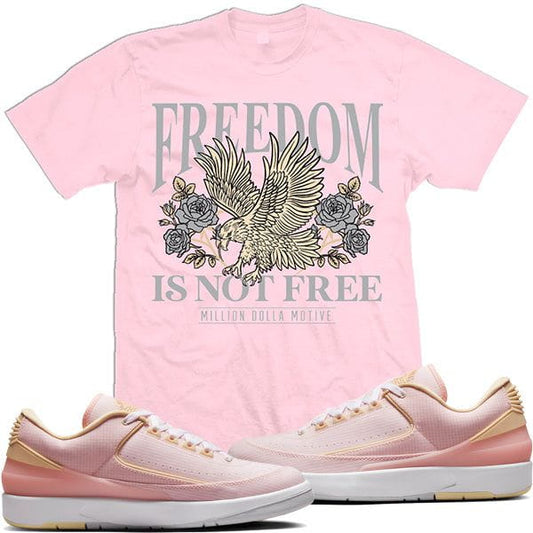 Jordan Retro 2 Low Craft 2s Sneaker Tees Shirts to Match : Freedom