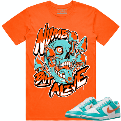 Miami Dolphin Dunks Shirts- Dunks Sneaker Tees - Miami Numb but Alive