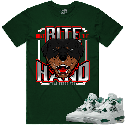 Oxidized Green 4s Shirt - Jordan 4 Oxidized Sneaker Tees - Dont Bite