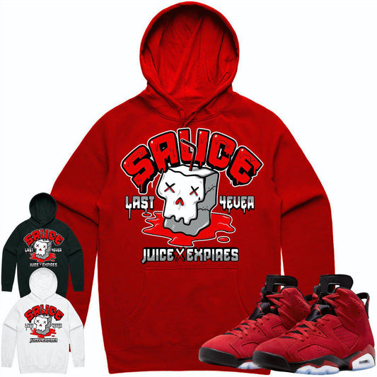 Toro Bravo 6s Hoodie - Jordan Retro 6 Toro Bravo Hoodie - Sauce