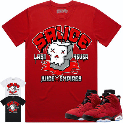 Toro Bravo 6s Shirt - Jordan Retro 6 Toro Bravo Shirts - Red Sauce