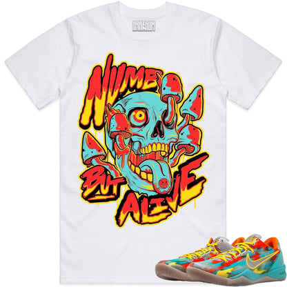 Venice 8s Shirts- Kobe 8 Venice Sneaker Tees - Numb but Alive